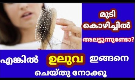 Hair Care Tips