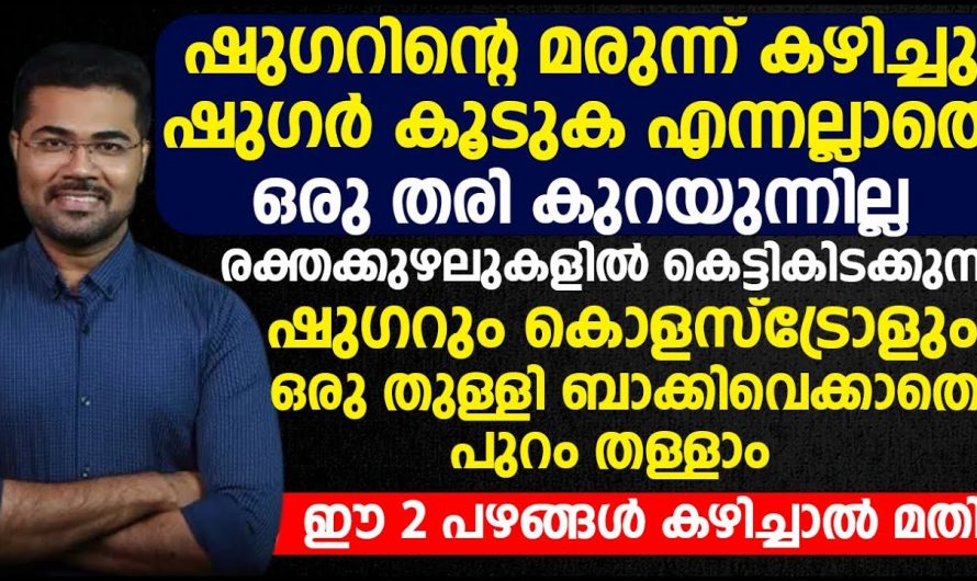 ഇത്തരം കാര്യങ്ങൾ ശ്രദ്ധിക്കുകയാണെങ്കിൽ നമുക്ക് ജീവിതശൈലി രോഗങ്ങളെ നിർത്തുന്നതിനും ആരോഗ്യത്തെ സംരക്ഷിക്കാൻ സാധിക്കും. | How to Control Sugar and cholestrol