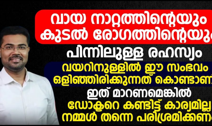 പല അസുഖങ്ങളുടെയും തുടക്കം കുടലിന്റെ ആരോഗ്യവും ദഹന സംബന്ധമായ  പ്രശ്നങ്ങൾ ആയിരിക്കും കാരണം. | Health Tips Malayalam