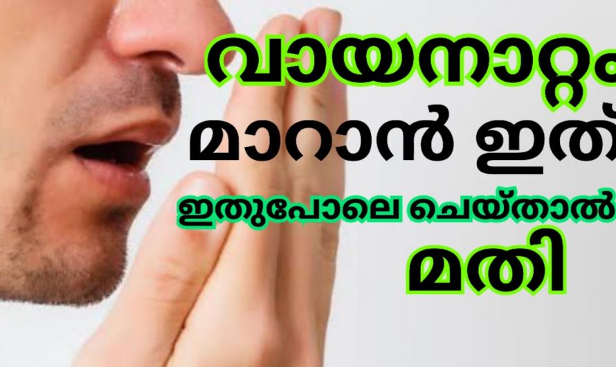 വായനാറ്റം പരിഹരിച്ച് ആരോഗ്യം ഇരട്ടിയാക്കാൻ. | Bad breath Home Remedies