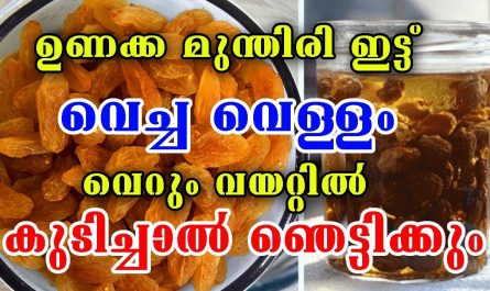 Benefits of Raisins Health Tips Malayalam