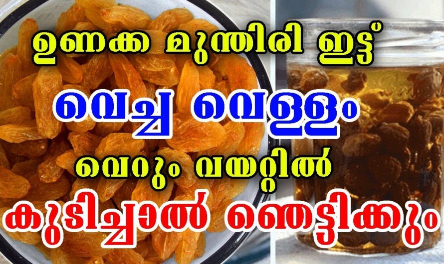 അതിരാവിലെ ഈ വെള്ളം അല്പം കുടിച്ചാൽ ആരോഗ്യത്തിന് അത്യുത്തമം.. | Benefits of Raisins Health Tips Malayalam