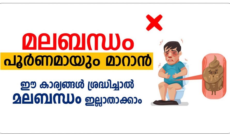 മലബന്ധം പരിഹരിക്കുന്നതിന് ഇത്തരം കാര്യങ്ങൾ ശീലമാക്കുക. | Constipation Home Remedies Malayalam