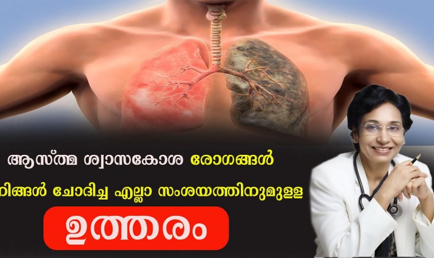 ശ്വാസകോശ രോഗങ്ങൾ ആസ്മ എന്നിവ ഉണ്ടാകുന്നതിന്‍റെ പ്രധാനപ്പെട്ട ലക്ഷണങ്ങളും പ്രതിവിധികളും. | Lung Diseases – Asthma