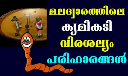 Worm infestation Malayalam