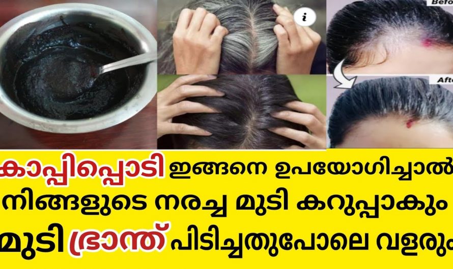 മുടിയിലെ നര പരിഹരിക്കാൻ ഇത് പ്രകൃതിദത്ത മാർഗ്ഗം. | change white hair to black hair