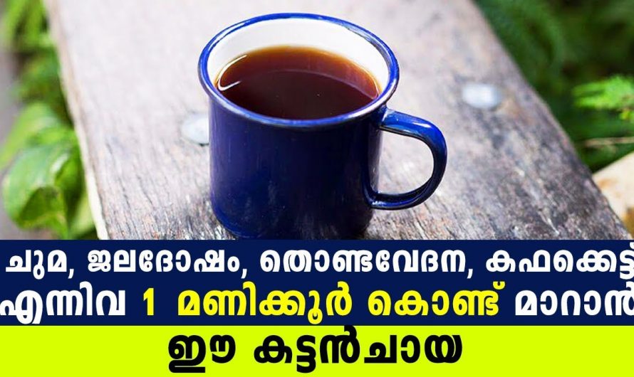 അടിക്കടി ഉണ്ടാകുന്ന  ജലദോഷം കഫക്കെട്ട് ചുമ്മ പാർശ്വഫലങ്ങൾ ഇല്ലാതെ   പരിഹരിക്കാൻ. | remedy for cough malayalam