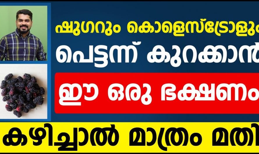 ഷുഗറും കൊളസ്ട്രോളും ഫാറ്റി ലിവറും എല്ലാ പ്രശ്നങ്ങളും പരിഹരിക്കാൻ. |  Sugar Kurakkan Malayalam