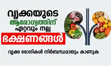 Kidney patient food in malayalam