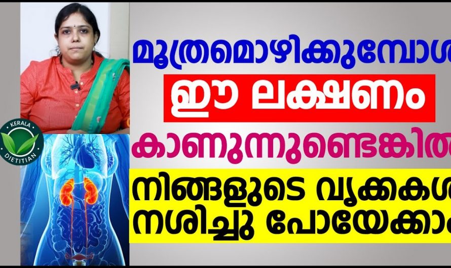 വൃക്ക രോഗത്തിന്റെ പ്രധാനപ്പെട്ട ലക്ഷണങ്ങൾ. | Kidney Disease Malayalam