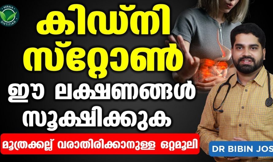 കിഡ്നി സ്റ്റോണിൽ ലക്ഷണങ്ങൾ പരിഹരിക്കുന്നതിന്. | Moothra Kadachil Malayalam