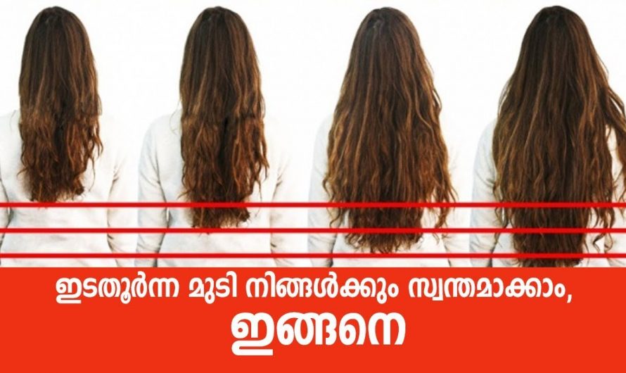 നല്ല ആരോഗ്യമുള്ള മുടിയിഴകൾ ലഭിക്കുന്നതിന് ഇത്തരം കാര്യങ്ങൾ ഭക്ഷണത്തിൽ ഉൾപ്പെടുത്തു. | hair thickness