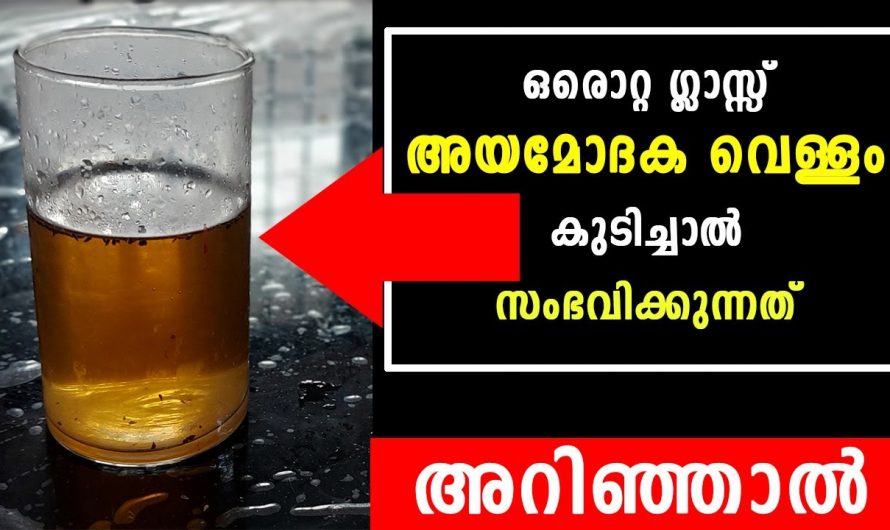 ഈ കുഞ്ഞൻ വിത്തിന്റെ ഞെട്ടിക്കും ഔഷധഗുണങ്ങൾ.