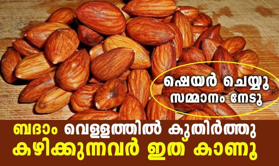 ബദം വെള്ളത്തിൽ കുതിർത്ത് കഴിച്ചു നോക്കൂ അതിന്റെ ഗുണങ്ങളെ അറിയാം