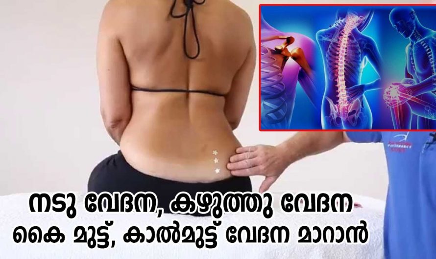 ശരീരവേദന പരിഹരിക്കാൻ കിടിലം വഴി. | To relieve back pain