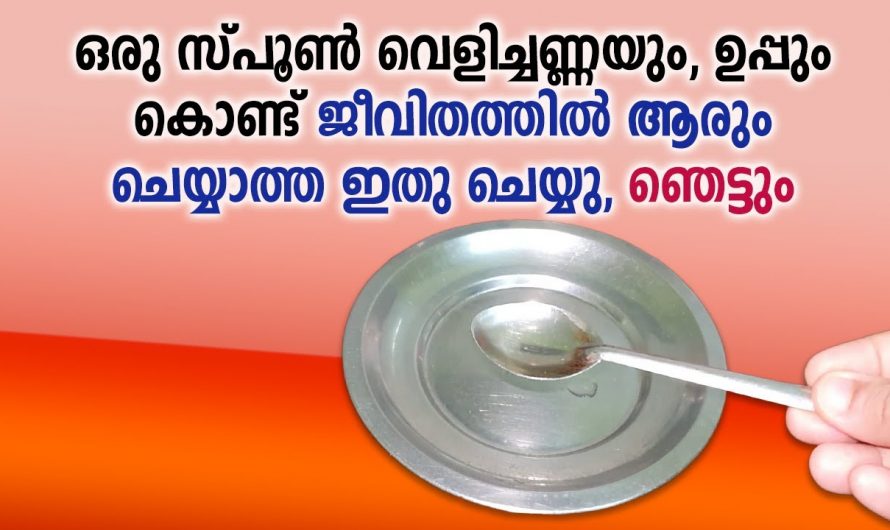 അടുക്കളയിലെ ഈ രണ്ടും കൂട്ടിലർത്തി ഉപയോഗിച്ച് നോക്കൂ  ഞെട്ടിക്കും റിസൾട്ട്. |  coconut oil and salt