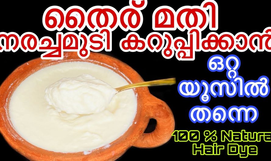 മുടിയിലെ നര അപ്രത്യക്ഷമായി നല്ല കറുത്ത മുടിയഴകൾ ലഭിക്കുന്നതിന്. | Natural Hair dye