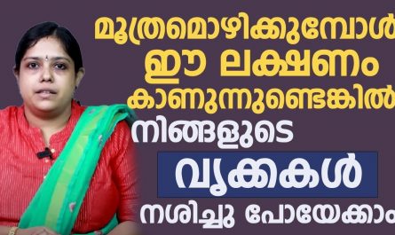 Kidney Disease Malayalam