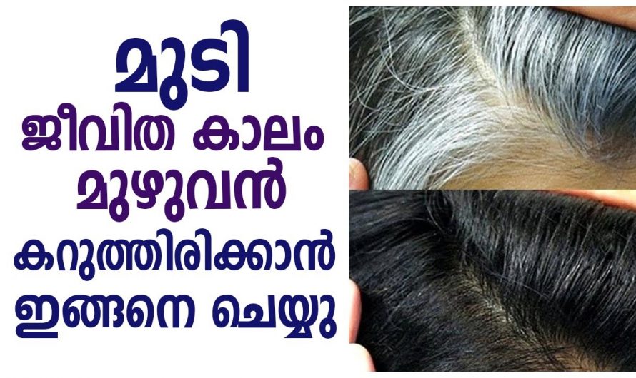 മുടിക്ക് കറുപ്പ് നിറവും നല്ല ആരോഗ്യമുള്ള മുടിയിഴകൾ ലഭിക്കുന്നതിനും ഇതാ കിടിലൻ വഴി..