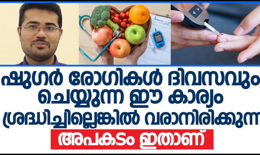 പ്രമേഹരോഗം നിയന്ത്രിക്കാൻ ഇത്തരം കാര്യങ്ങൾ ശ്രദ്ധിക്കുക. | sugar kurakkan malayalam