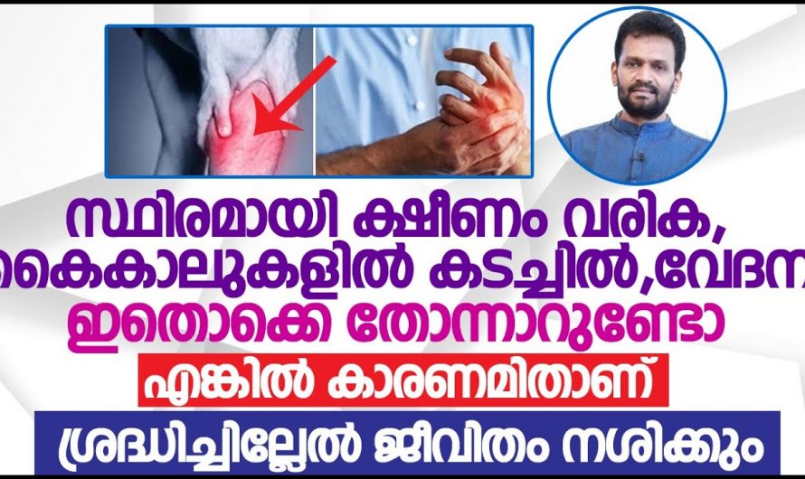 സ്ഥിരമായി ശരീരവേദനകൾ ക്ഷീണം എന്നിവ അനുഭവപ്പെട്ടാൽ ഇക്കാര്യം പ്രത്യേകം ശ്രദ്ധിക്കുക. | Malayalam Latest Health Tips