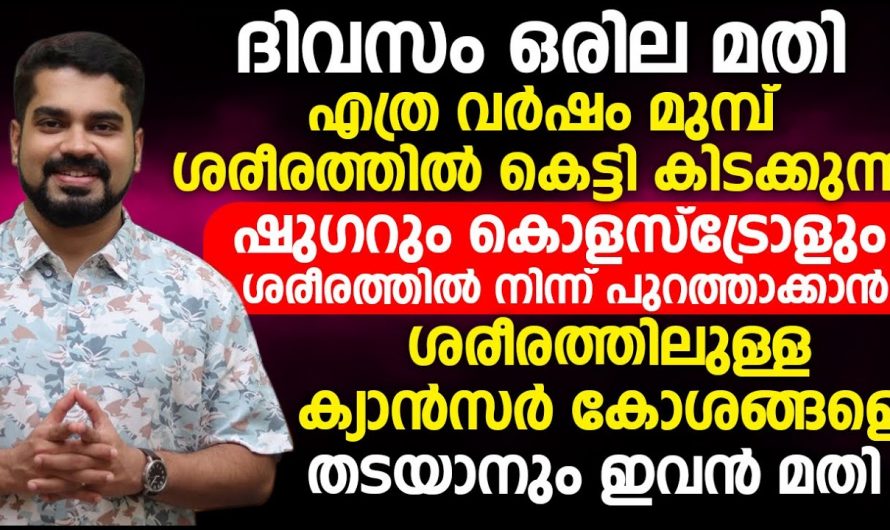 ശരീരത്തിൽ കെട്ടിക്കിടക്കുന്ന ഷുഗറും കൊളസ്ട്രോളും കുറയ്ക്കുവാൻ ഈ ഒരു ഇല മാത്രം മതി