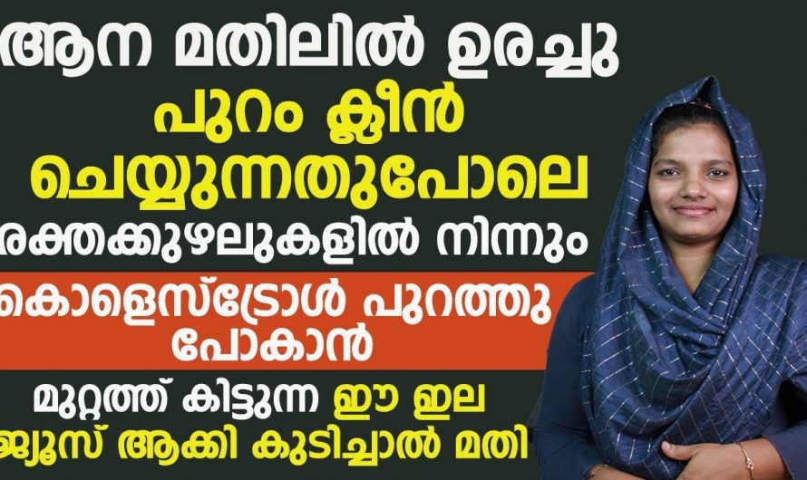 ഈ ജ്യൂസ് ഒന്നു കുടിച്ചു നോക്കൂ രക്തക്കുഴലുകളിൽ നിന്നും കൊളസ്ട്രോൾ പുറത്തെത്തിക്കും