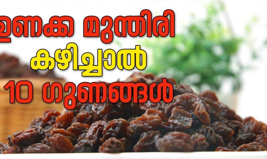 ഉണക്കമുന്തിരി കഴിച്ചാൽ ലഭിക്കുന്ന ഞെട്ടിക്കും ഗുണങ്ങൾ…
