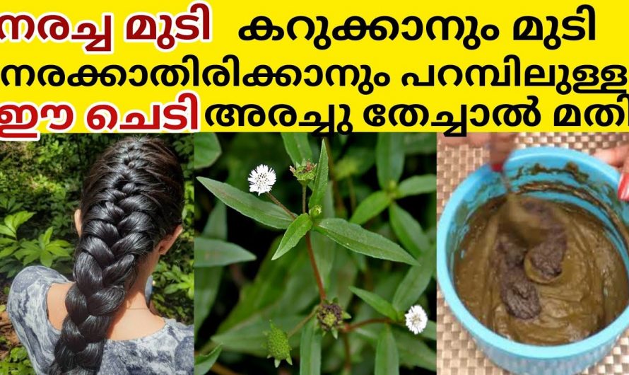 മുടിയിലെ നര പരിഹരിച്ച് മുടിയേ ആരോഗ്യത്തോടെ നിലനിർത്താൻ.
