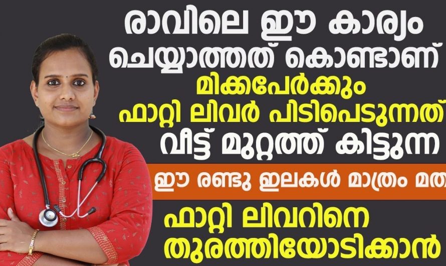 ഫാറ്റി ലിവർ എങ്ങനെ പരിഹരിക്കാം..