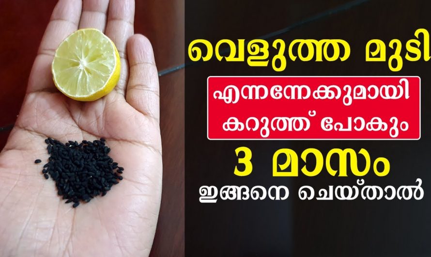 മൂന്നുമാസം ഇങ്ങനെ ചെയ്താൽ നിങ്ങളുടെ വെളുത്ത മുടി എന്നന്നേക്കുമായി കറുത്തു പോകും