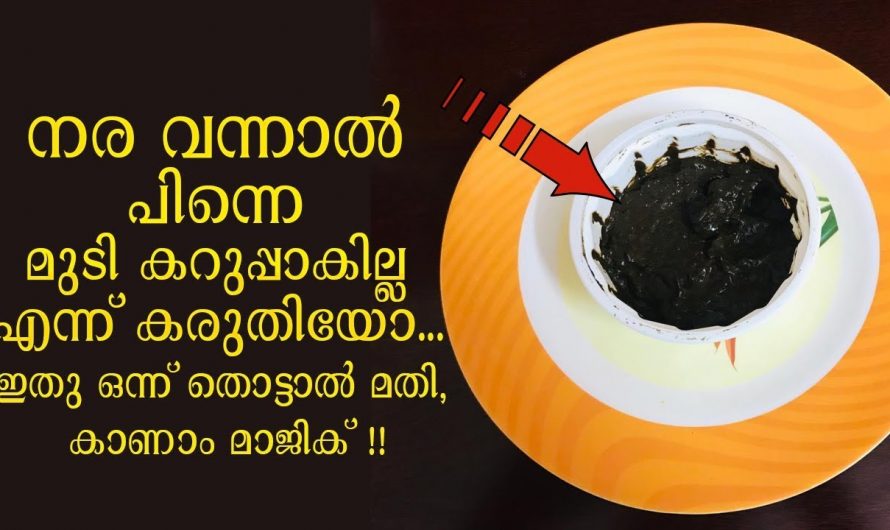 മുടിയിലെ നര പരിഹരിച്ച് മുടിയെ സംരക്ഷിക്കും.