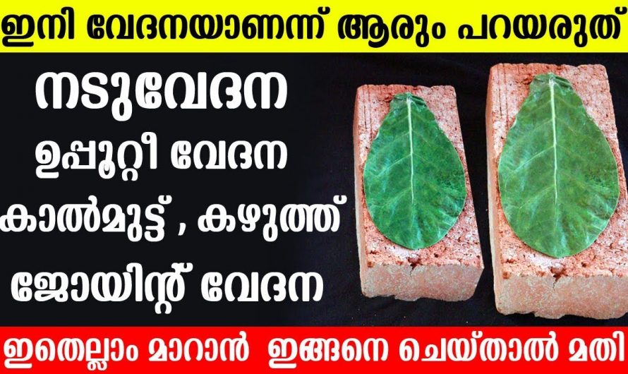 ശരീര വേദനകൾ  മാറുന്നതിന് ഇതാ കിടിലൻ വഴി..