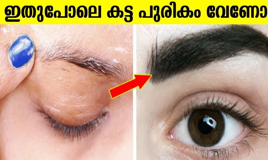 മുഖത്തിന് ഇരട്ടി ഭംഗി നൽകുന്നതിന് നല്ല കട്ടിയുള്ള കറുത്ത പുരികം ലഭിക്കാൻ…