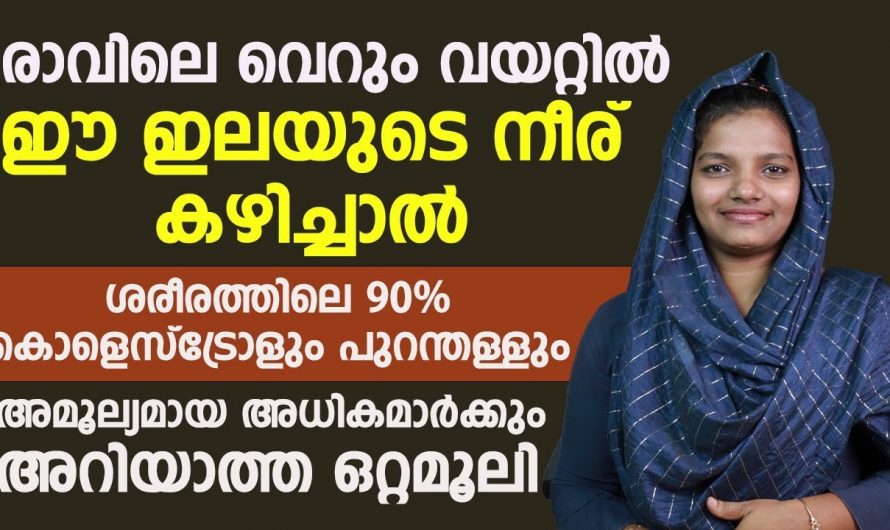 ശരീരത്തിലെ ചീത്ത കൊളസ്ട്രോളിനെ ഇല്ലാതാക്കി ആരോഗ്യം വർദ്ധിപ്പിക്കാൻ…