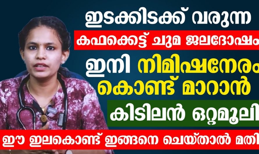മുതിർന്നവരിലും കുട്ടികളിലും ഇടയ്ക്കിടയ്ക്ക് ഉണ്ടാകുന്ന കഫംകെട്ട് പൂർണമായും പരിഹരിക്കാൻ..