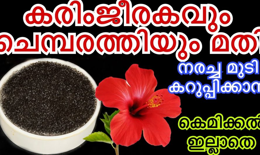 മുടിയിലെ  നര പരിഹരിക്കാൻ ഇതാ കിടിലൻ വഴി..