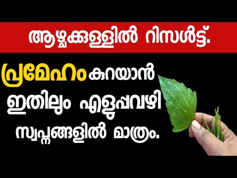 നിങ്ങൾ ഒരു പ്രമേഹ രോഗിയാണോ ആഴ്ചക്കുള്ളിൽ പ്രമേഹം കുറയാൻ ഇതാ ഒരു വഴി