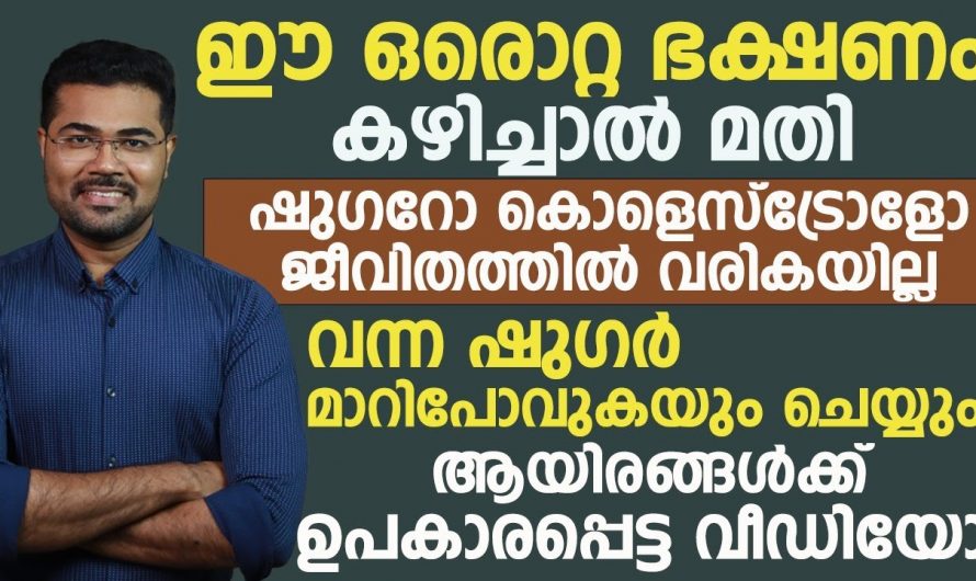 ജീവിതത്തിൽ ഒരിക്കലും കൊളസ്ട്രോളും ഷുഗറും വരികയില്ല ഈ ഒരു ഒറ്റ ഭക്ഷണം കഴിച്ചാൽ മാത്രം മതി