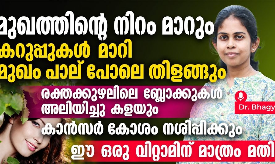പൊള്ളുന്ന ചൂടിലും നല്ല തണുപ്പുകാലത്തും മുഖസംരക്ഷണം നൽകുന്നത് എങ്ങനെയെന്ന് അറിയൂ