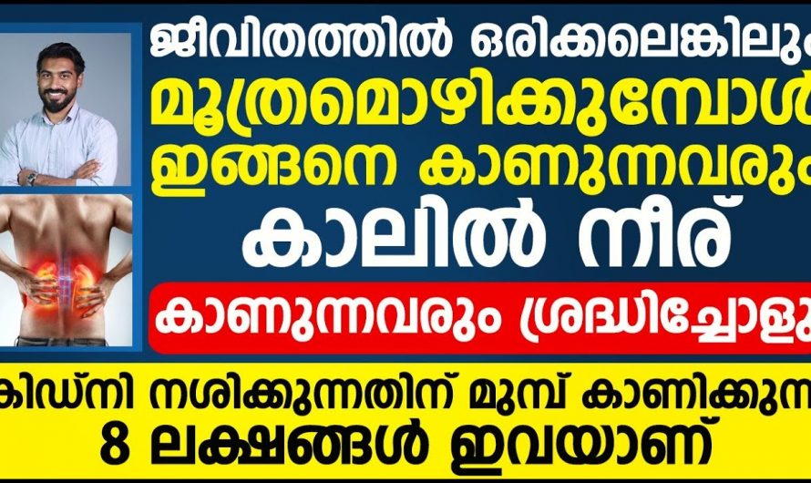 കിഡ്നിയുടെ ആരോഗ്യം സംരക്ഷിക്കുന്നതിന് ഇത്തരം കാര്യങ്ങൾ നിർബന്ധമായും ചെയ്യുക..