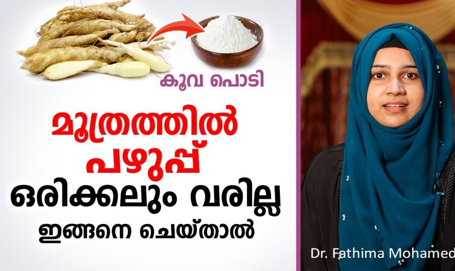 മൂത്രത്തിൽ പഴുപ്പ് ജീവിതത്തിലെ വരാതിരിക്കാൻ ഈ ഒരു കാര്യം ചെയ്താൽ മതി.