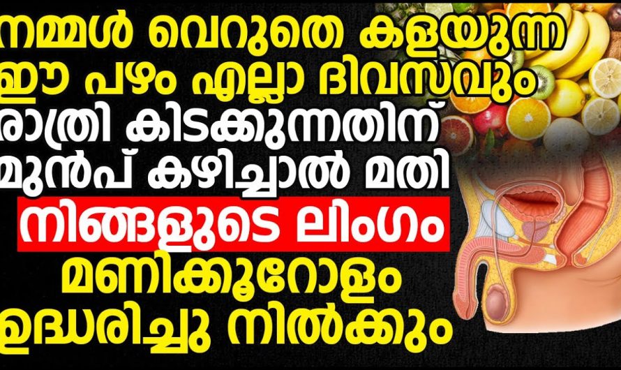 രാത്രി കിടക്കുന്നതിനു മുമ്പ് ഈ കാര്യം ചെയ്താൽ ലിംഗം മണിക്കൂറോളം ഉദ്ധരിച്ച് നിൽക്കും