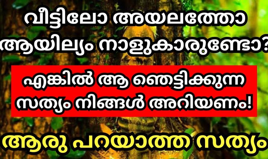 ആയില്യം നക്ഷത്രക്കാരുടെ പ്രത്യേകതകളും ശ്രദ്ധിക്കേണ്ട കാര്യങ്ങൾ…