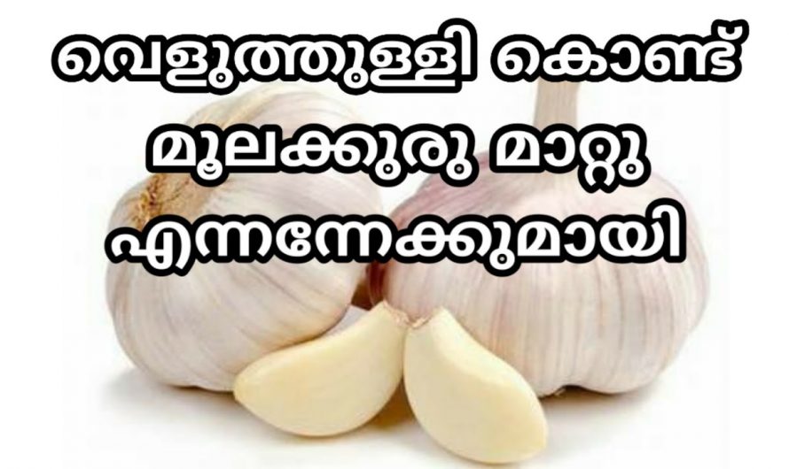 പൈൽസ് വളരെ എളുപ്പത്തിൽ പരിഹരിക്കാൻ കിടിലൻ ഒറ്റമൂലി…
