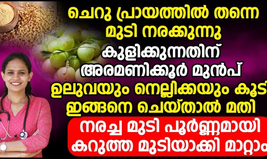 നരച്ച മുടി പൂർണ്ണമായും കറുപ്പിക്കാം ഉലുവയും നെല്ലിക്കയും ഇതുപോലെ ചെയ്താൽ