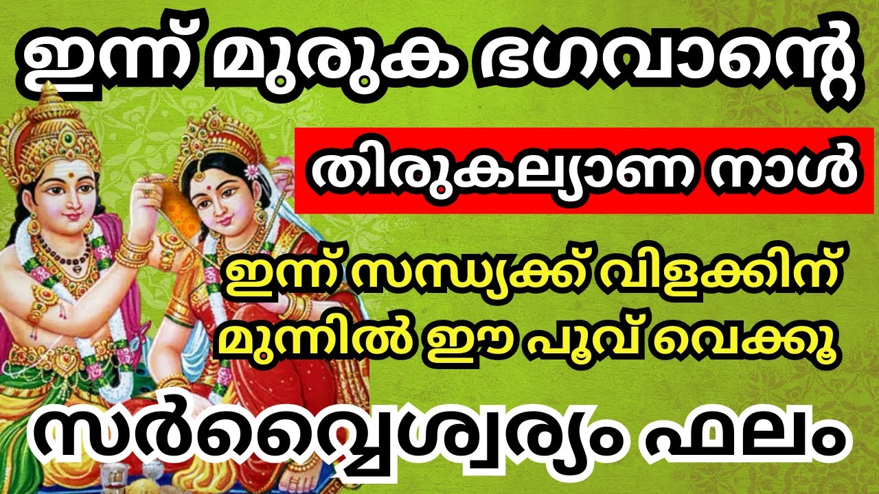 മുരുക ഭഗവാന്റെ തിരുകല്യാണം ദിവസം പ്രാർത്ഥിച്ചു ലഭിക്കുന്ന അനുഗ്രഹങ്ങൾ..