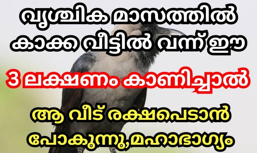 വൃശ്ചികമാസത്തിൽ ഇത്തരം ലക്ഷണങ്ങൾ നമ്മുടെ വീടുകളിൽ കാണുകയാണെങ്കിൽ ഇരട്ടി സൗഭാഗ്യം..