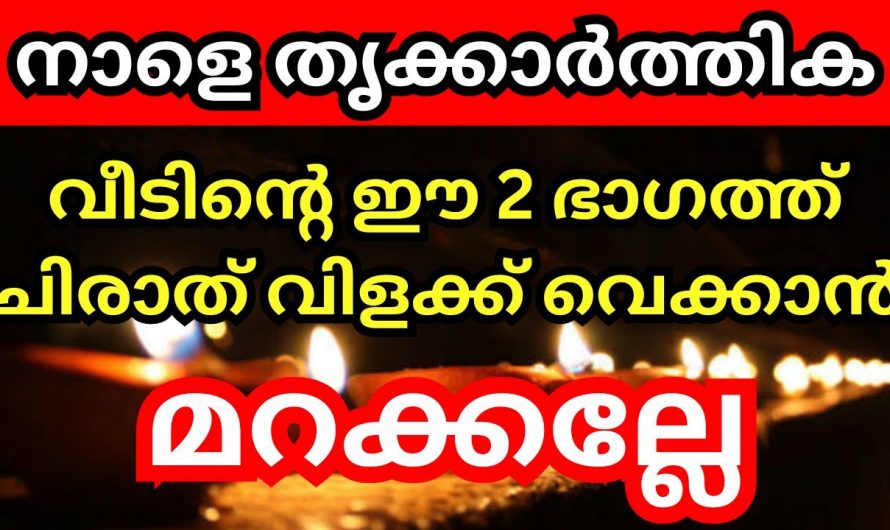 തൃക്കാർത്തിക ദിവസം വീട്ടിൽ ഇക്കാര്യം നിർബന്ധമായും ചെയ്യുക ഐശ്വര്യം  സമ്പത്ത് വർദ്ധിക്കും.