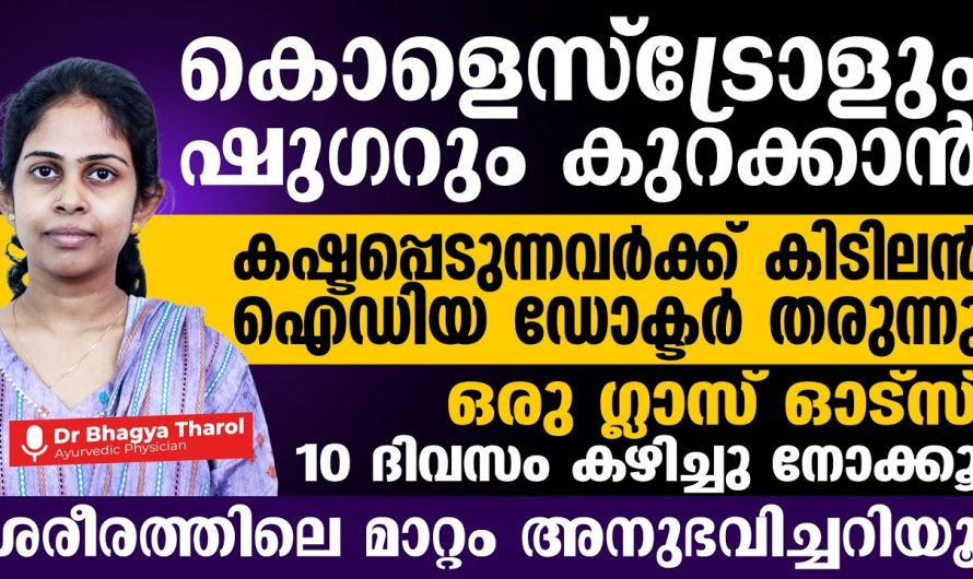 10 ദിവസം ഓട്സ് കഴിച്ചാൽ കൊളസ്ട്രോളും ഷുഗറും കുറയ്ക്കുവാൻ സാധിക്കും എങ്ങനെ എന്നല്ലേ